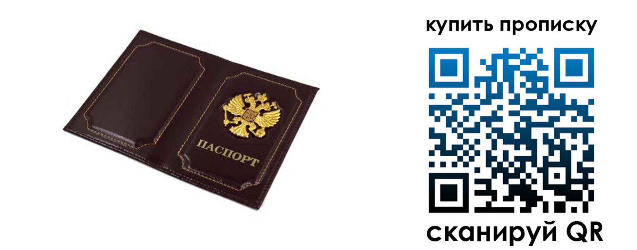 купить прописку в Александровске